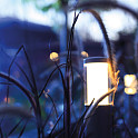 Inlite Liv Low Dark 12v 1,5w