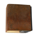 Inlite Ace Down Corten 12V/4,5w