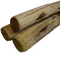 Paal Rond 7x160cm Gepunt Onbehandeld