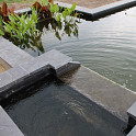 Vijverrand 25x100x3cm Bluestone