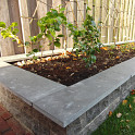 Vijverrand 25x100x3cm Bluestone