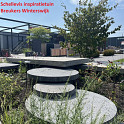 Schellevis tegel rond 100x8cm Antraciet