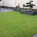 Blocco Bordano ca.29x10x10