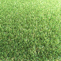 Kunstgras Topline2.0 40mm
