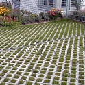 Grasbetontegel 40x60x10cm Vlak