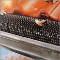 Gootdrain zwart 3 ml Ø 70-110 mm zwart  /m1