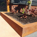 Betotop Special 60mm 5,5x20x200cm Corten