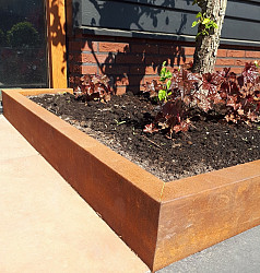 Betotop Special 60mm 5,5x20x200cm Corten