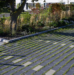 BKG Greenline 20x30x8 Antraciet