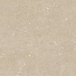 Keramische Buitentegel 120x120x2 Conchiglia