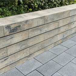 Lineo Maxi 60x25x12,5 Muschelkalk Vol Blok