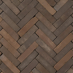 Gebakken waalformaat Carpo getrommeld