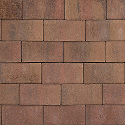 Tremico DF Oud Bont
