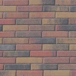 Tremico WF Bont
