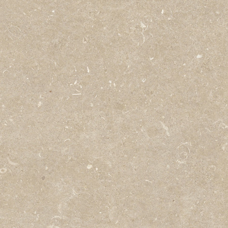 Keramische Buitentegel 120x120x2 Conchiglia