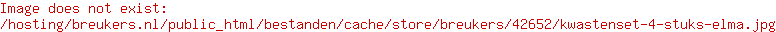 Kwastenset 4 stuks Elma